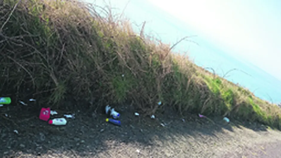 Litter Reduced hours at amenity sites are part of the problem Image
