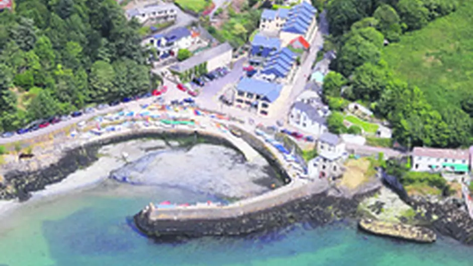 Busy week planned for regatta Image