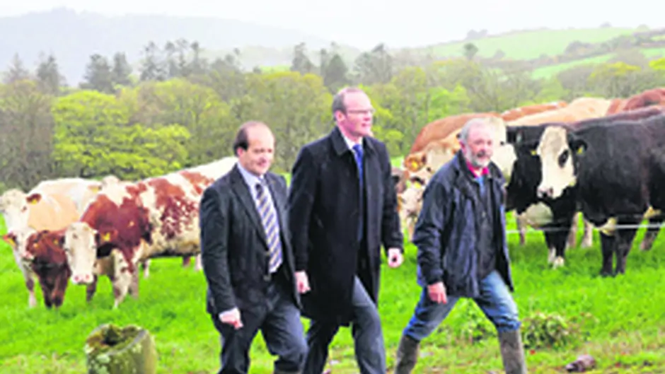 52m per annum beef data programme boost Image