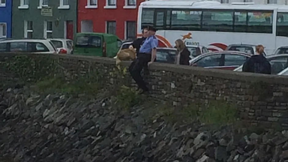 Gardai rescue elderly labrador in Bantry Image