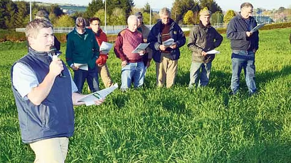 Cereal crops require meticulous attention Image