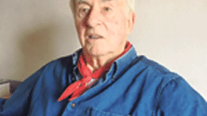 Phone wire thefts put Schull business in jeopardy Image