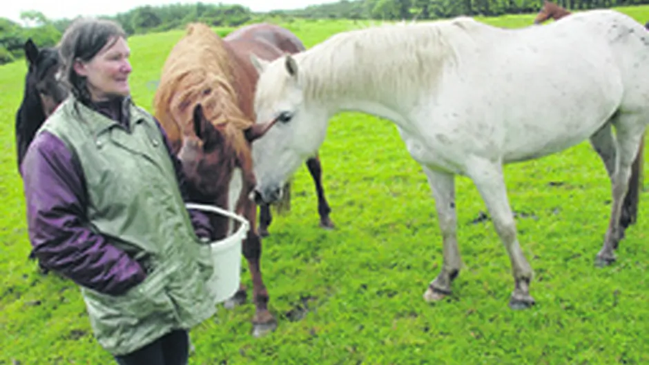 Rescue centre is on the move Image