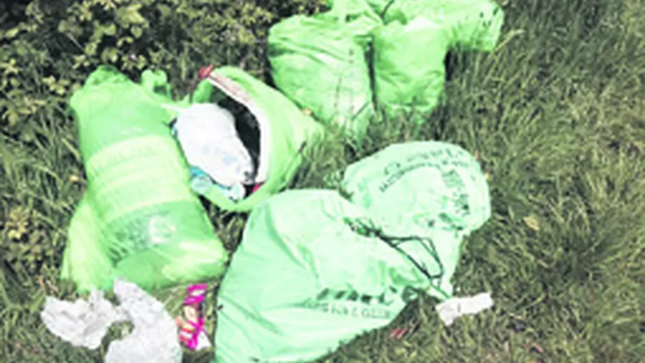 Dont blame us pleads chief as Council spends 05m on litter Image