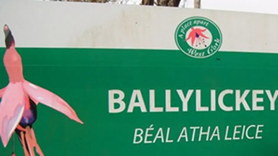 Elderly man in hospital after Bantry crash Image