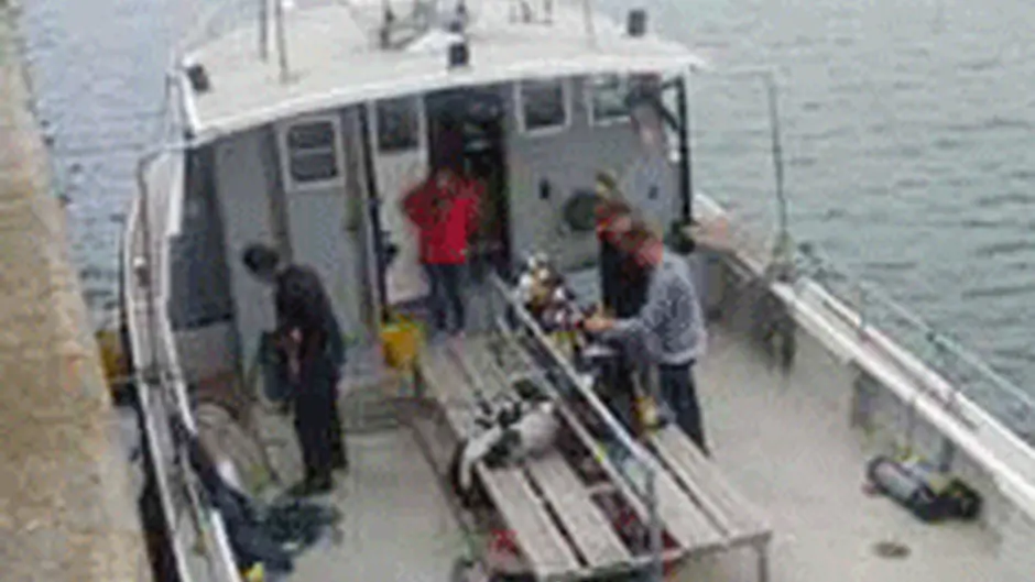 The bends a factor in divers deaths Image