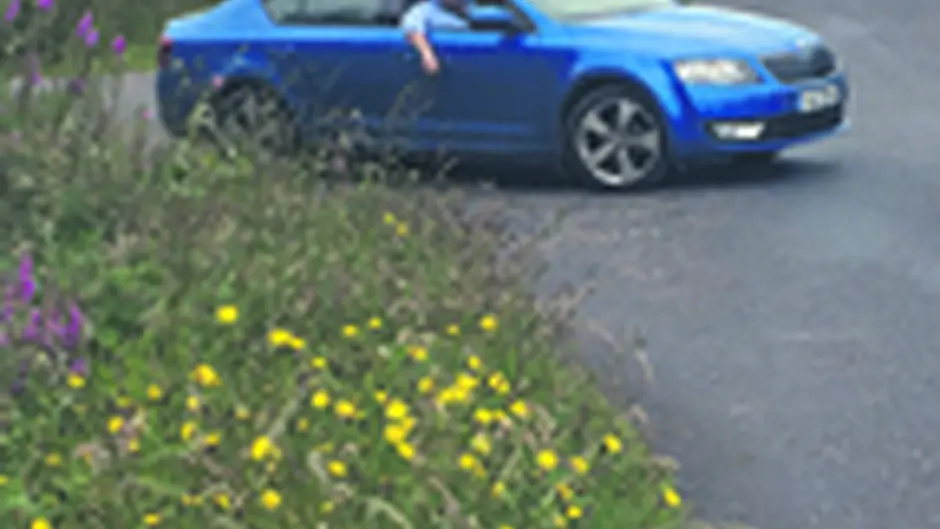 Hedgecutting impasse may lead to deaths Image