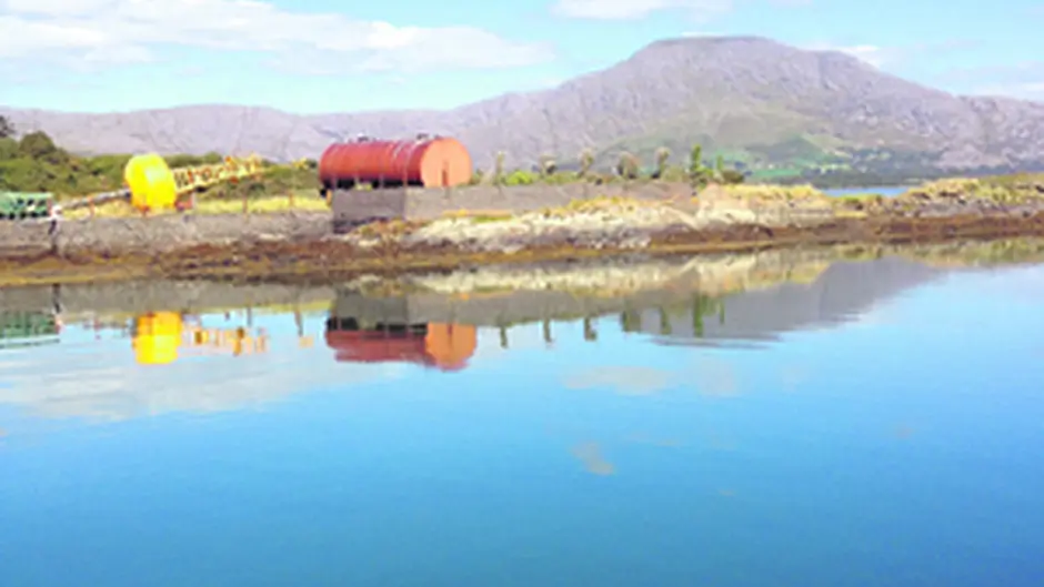 Sailing school ready to return to Bere Island shores Image