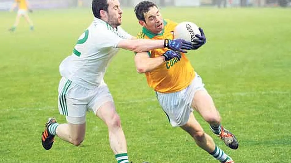 Dohenys bid to advance further Image