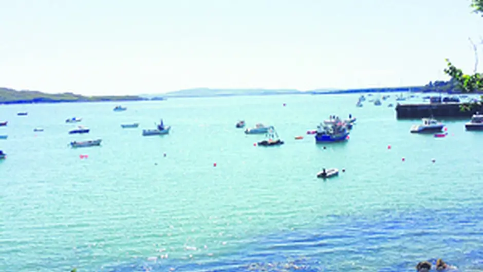 Two year target for 235 berth marina Image