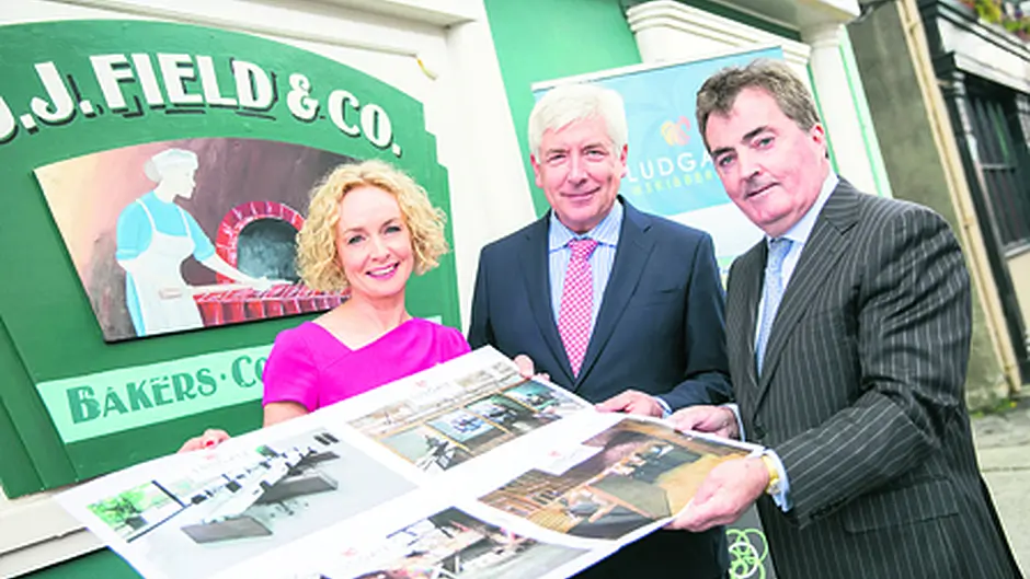 First rural digital hub plans 500 jobs in Skibb Image
