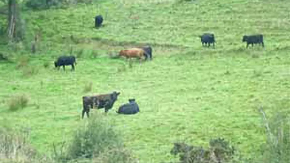 Land eligibility issues need clarification Image