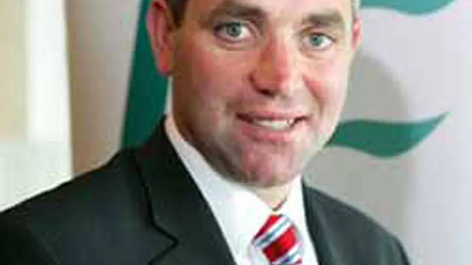Council merger may be decided in weeks Image