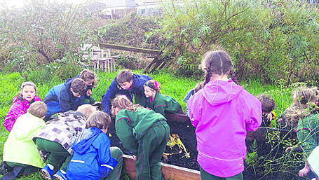 Skibbereens Garden of Eden is growing on local volunteers Image
