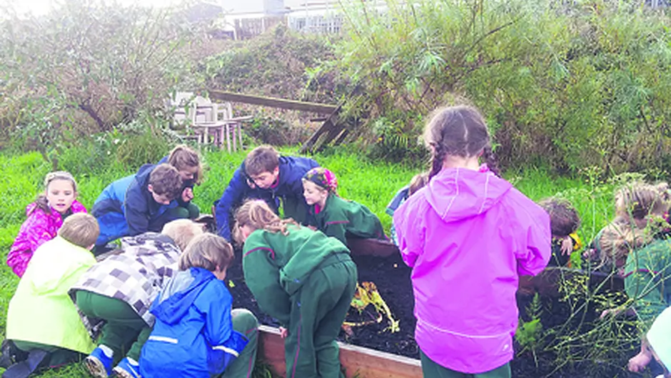 Skibbereens Garden of Eden is growing on local volunteers Image