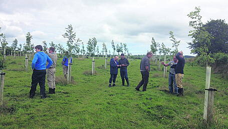 Local farmers have a growing interest in agroforestry Image