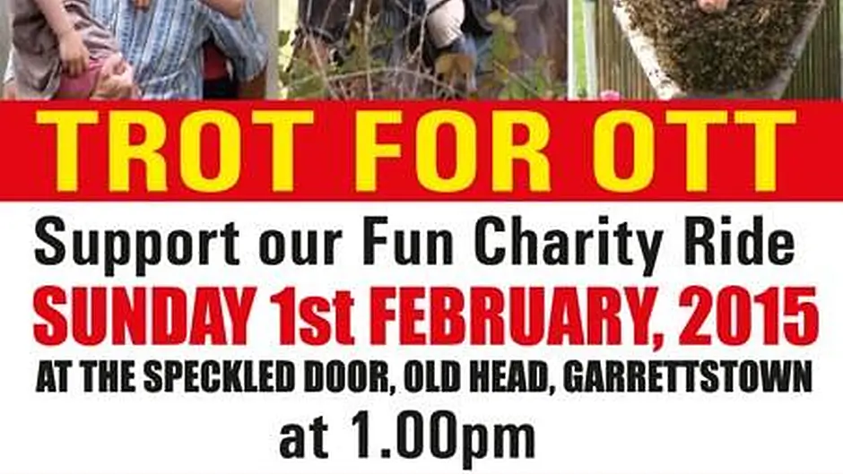 Please support Alex Ott Appeal in Kinsale this Sunday Image