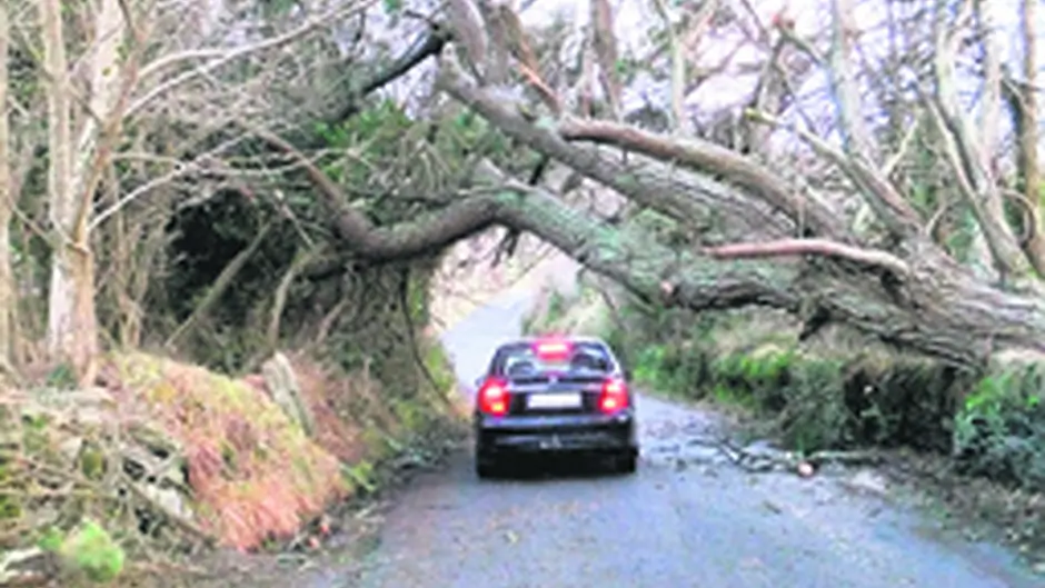 Readers Picture of the Year is revealed Image