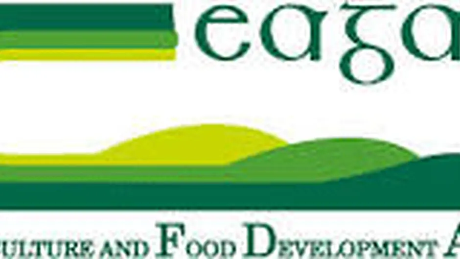New forestry programme to be explained at meetings Image
