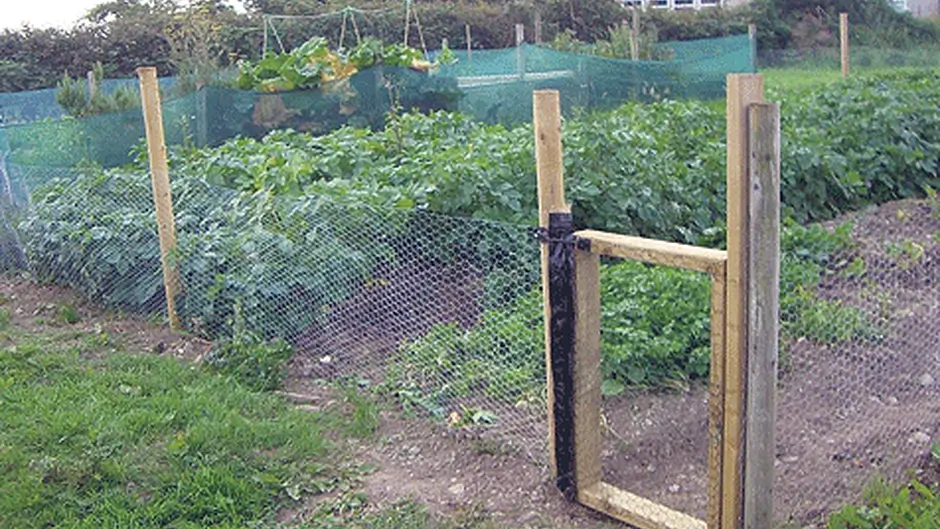 Grow your own course at Bandon Allotments Image