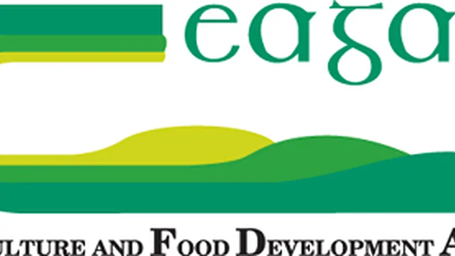 West Cork meetings about forestry Image