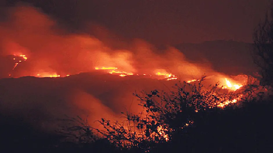 Have your say on burning and hedge cutting Image