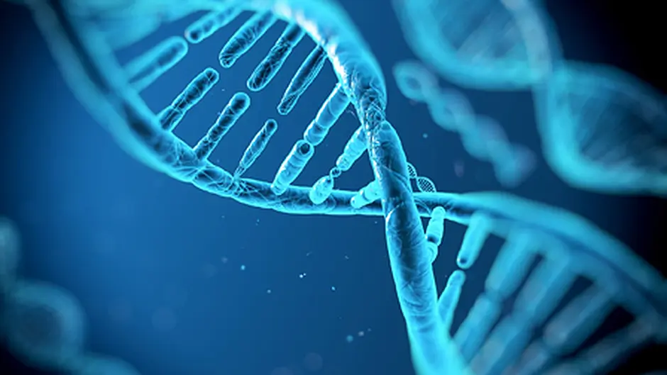 Dunmanways McCarthy DNA project seeks to trace relatives Image