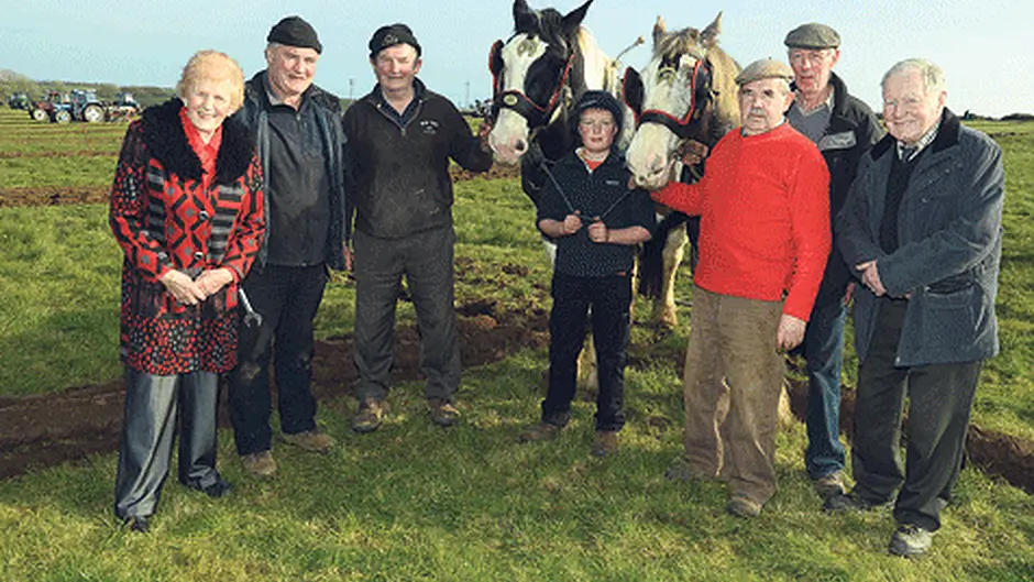 Timoleague ploughing outstanding Image