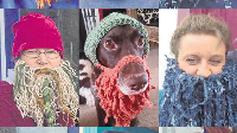 Baltimores locals pull the wool over their own eyes Image