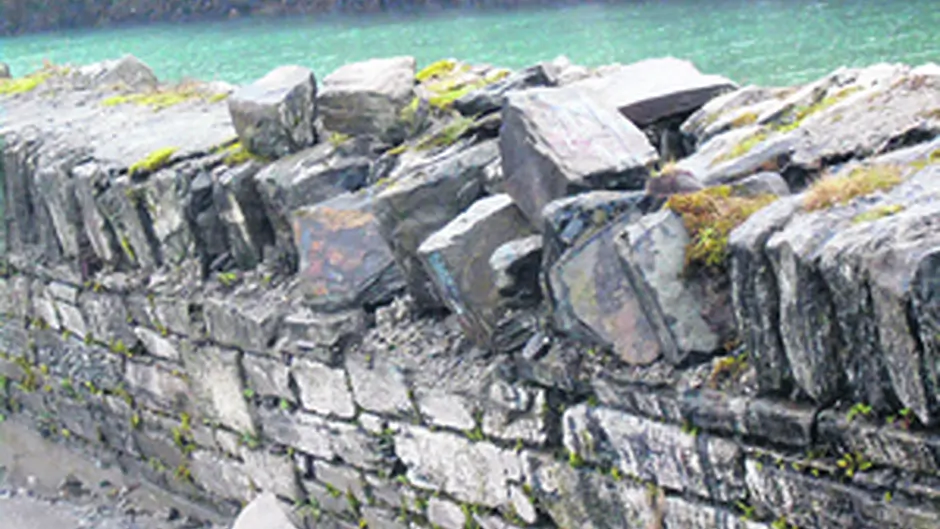 Fears for seals are holding up repair of pier Image