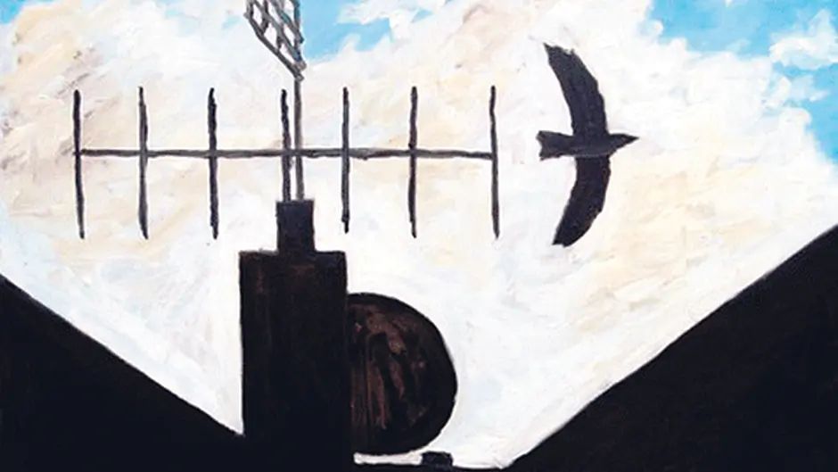 McSweeney movie is portrait of the West Cork artist Image