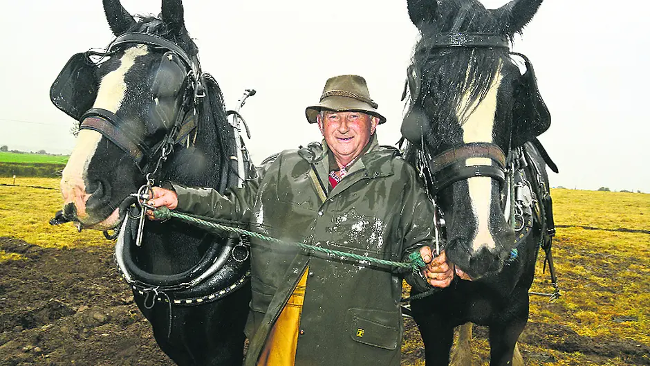 Fords links with West Cork recalled at Vintage Day event Image