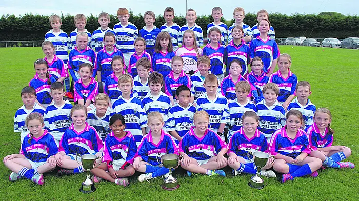 Doin' it for themselves the 120 ladies of Castlehaven Image