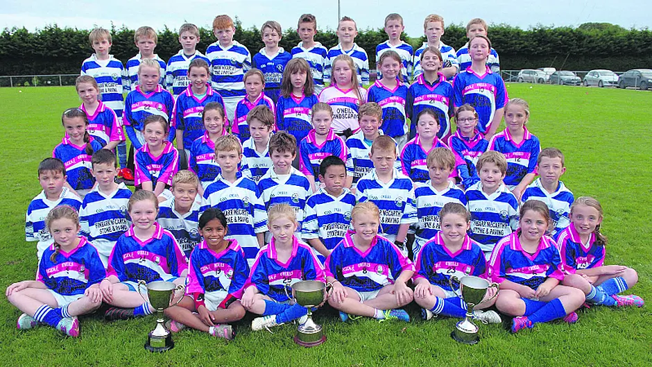 Doin' it for themselves the 120 ladies of Castlehaven Image