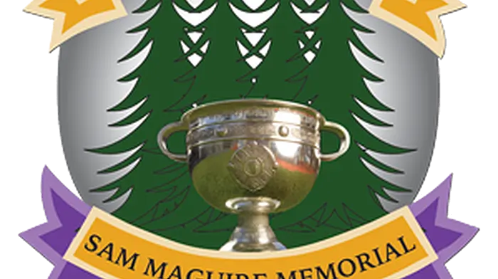 Friday night lights for Carbery GAA championship matches Image