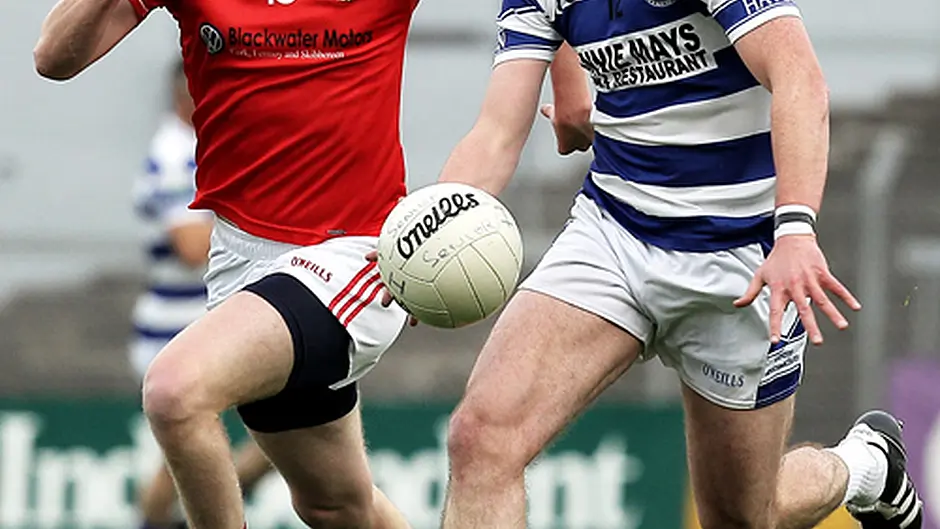Castlehaven are back in county senior football final Image