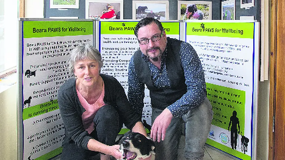 Paws for thought in Beara Image