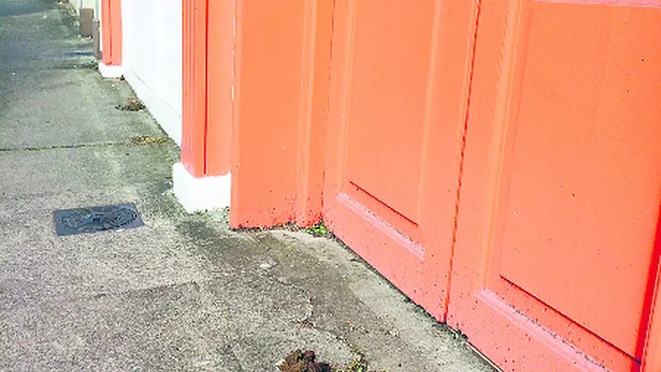 Mum cries foul over dog dirt on local streets Image