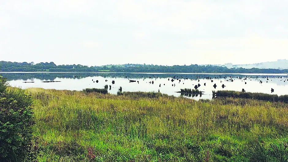 Gearagh delta is as important as Newgrange and the Burren Image