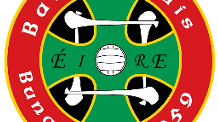 Newcestown relegated from Division 1 of the county football league Image