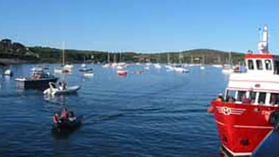 Schull locals lobby TDs on harbour Image