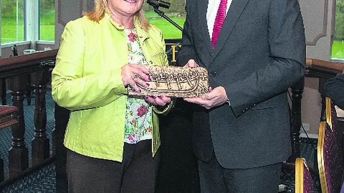 Airport PR boss emphasises positives at Bantry briefing Image