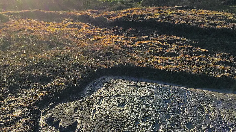 Rockin up to city with West Cork prehistoric art exhibition Image