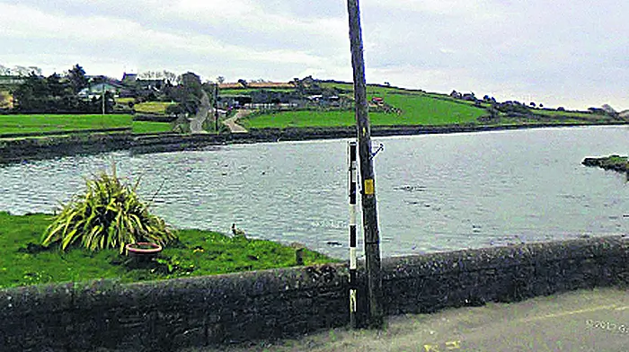 Urgent dredging is needed to navigate Ring Harbour Image