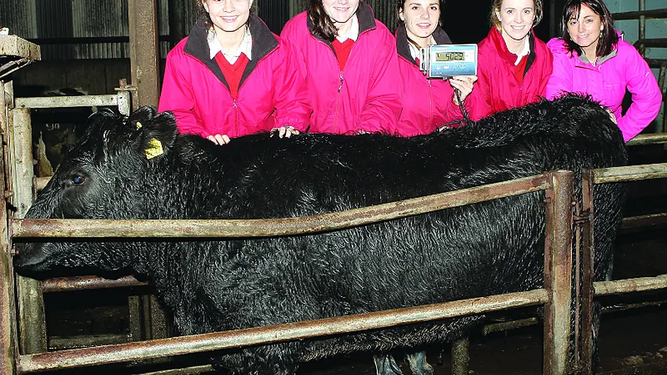 Clonakilty students learn  from calf rearing project Image