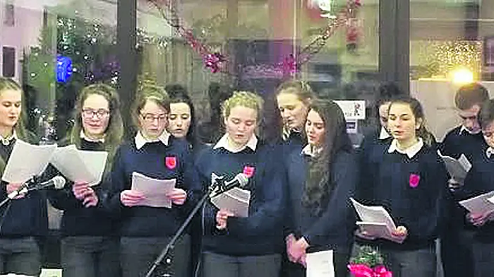 Beara's resilience brought to book by Transition Year students Image