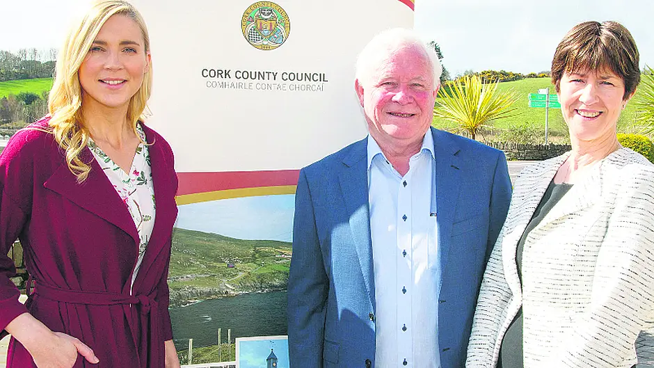 Co Council's bold move to tackle scourge of littering on our roads Image