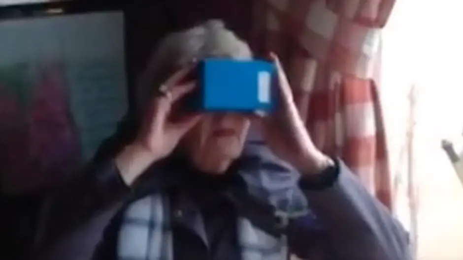 Dunmanway's Ettie goes viral after her ‘virtual rollercoaster' tour Image