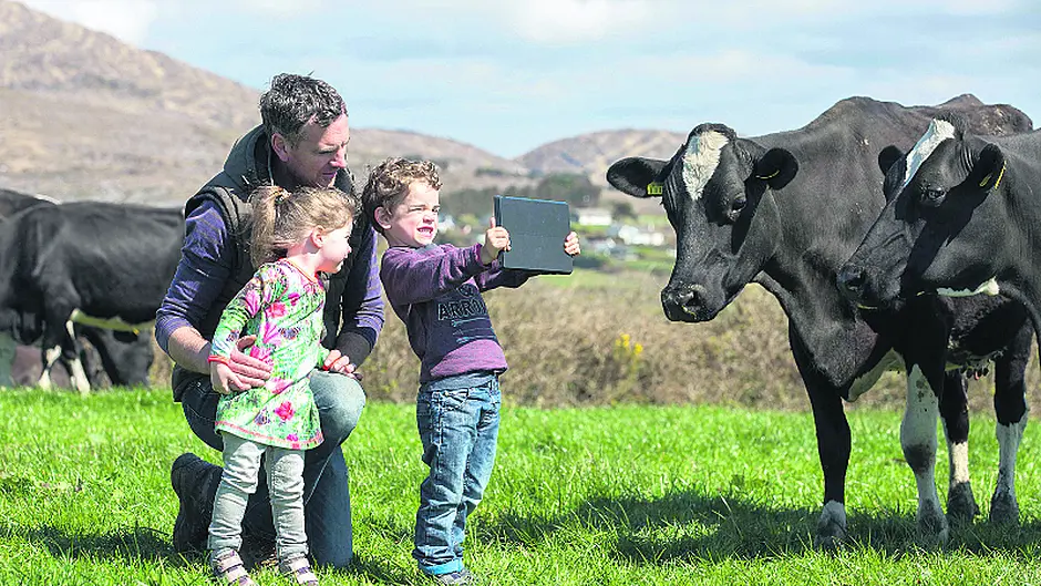 West Cork sustainability stories Image