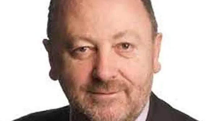West Cork gets two senators Image